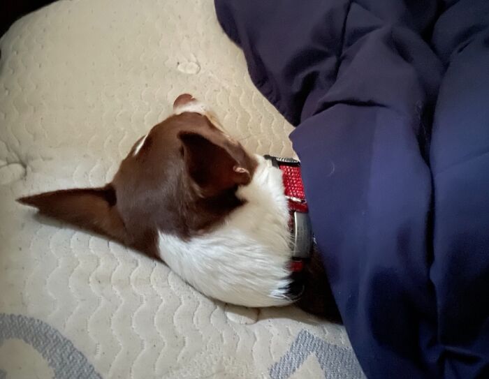 Woke Up This Morning Expecting To See My Wife. This Isn’t My Wife...