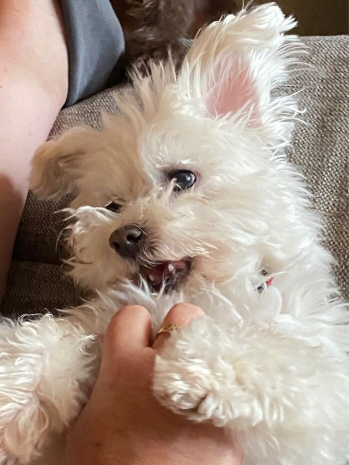 Sadly, Turner Died On Friday. I Miss Him So Much.