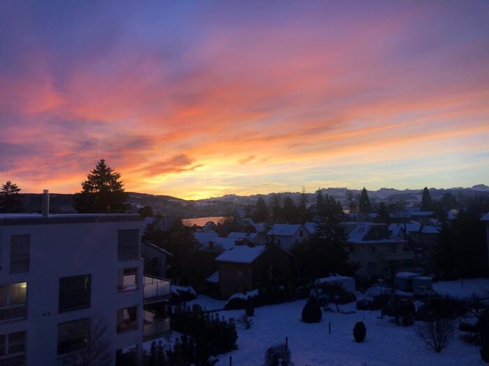 View From Our Window