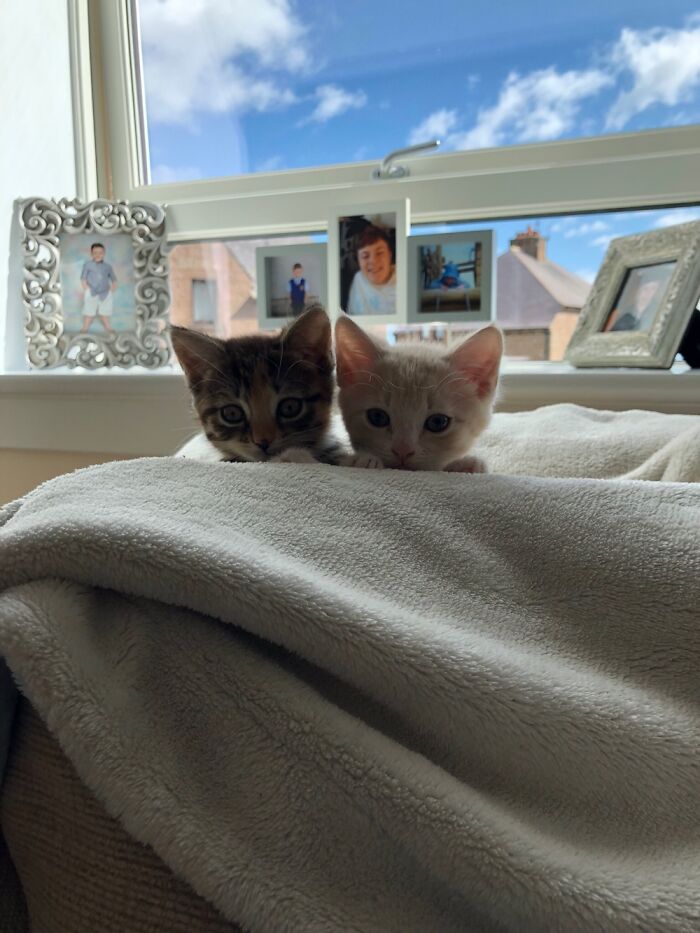 Sacha And Johnny 💕