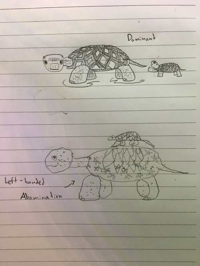 Trying To Draw Turtles, One Of Them Is Having A Very Bad Day.