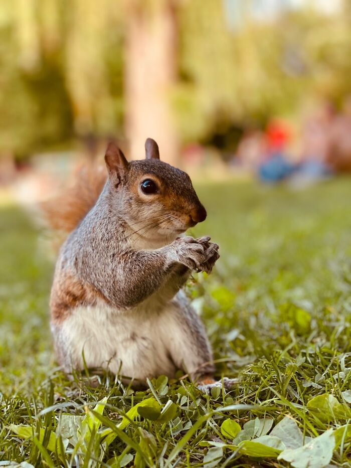 Here Are Some Pictures Of My Summer Vacation (26 Pics)