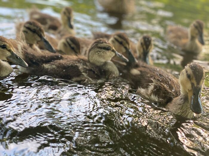 Here Are Some Pictures Of My Summer Vacation (26 Pics)