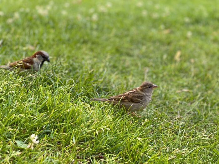 Here Are Some Pictures Of My Summer Vacation (26 Pics)