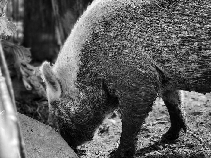 Here Are Some Pictures Of My Summer Vacation (26 Pics)