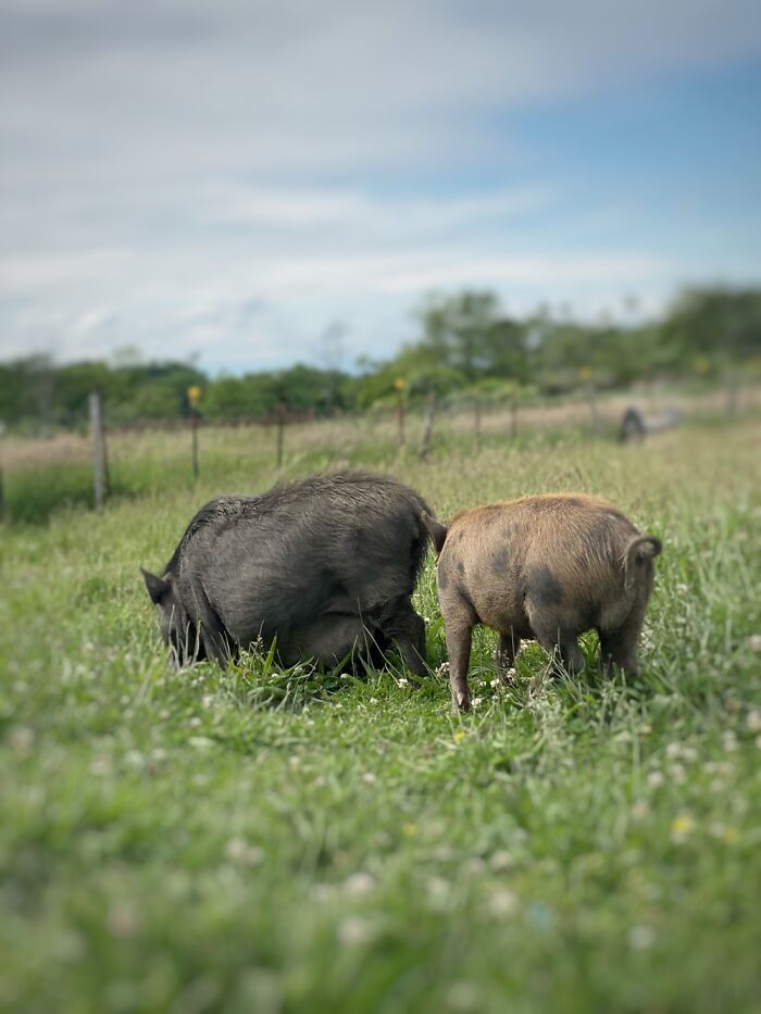 Here Are Some Pictures Of My Summer Vacation (26 Pics)