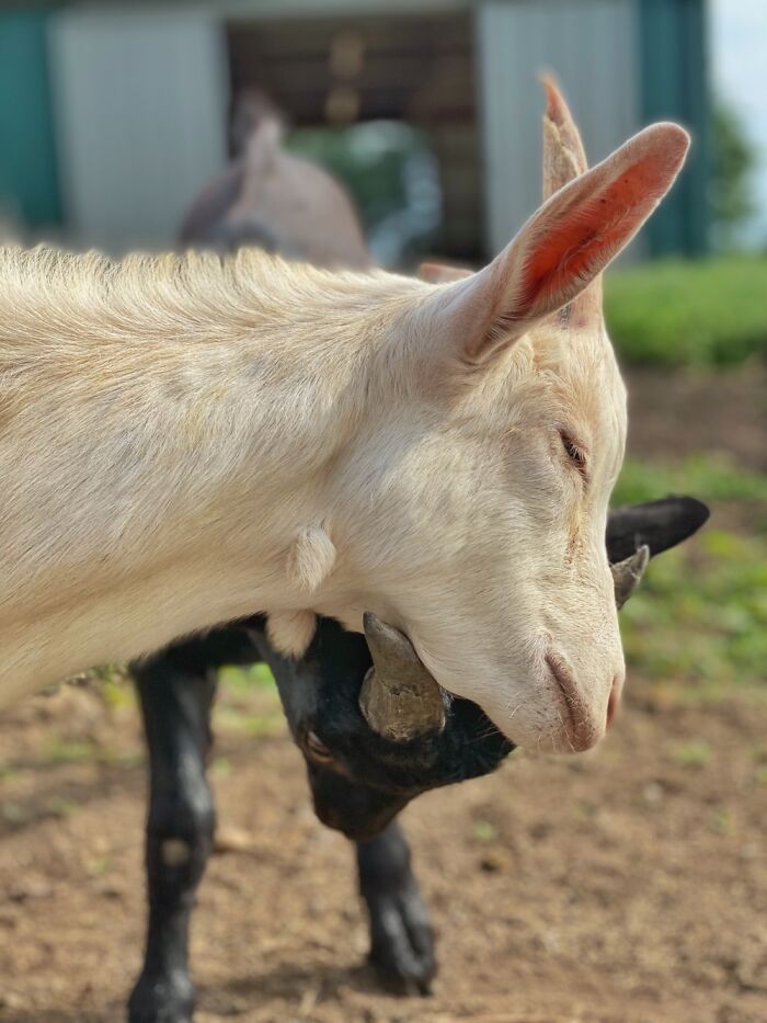 Here Are Some Pictures Of My Summer Vacation (26 Pics)