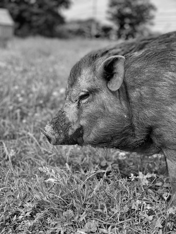 Here Are Some Pictures Of My Summer Vacation (26 Pics)