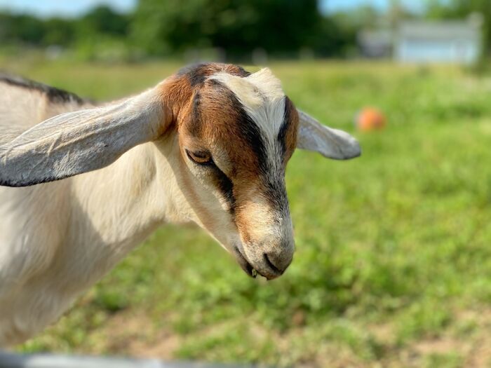 Here Are Some Pictures Of My Summer Vacation (26 Pics)