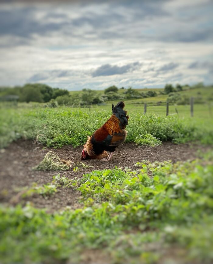 Here Are Some Pictures Of My Summer Vacation (26 Pics)