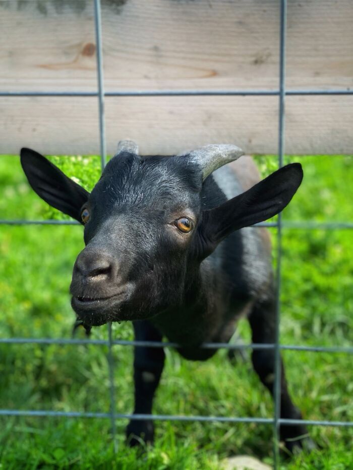 Here Are Some Pictures Of My Summer Vacation (26 Pics)