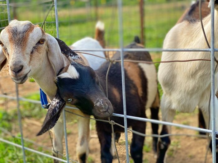 Here Are Some Pictures Of My Summer Vacation (26 Pics)