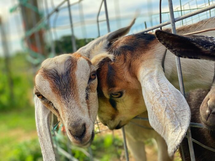 Here Are Some Pictures Of My Summer Vacation (26 Pics)