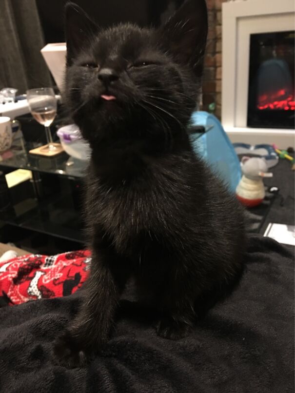 Baby Oliver Does A Blep