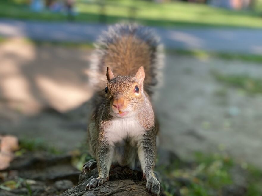 Posing For The Picture