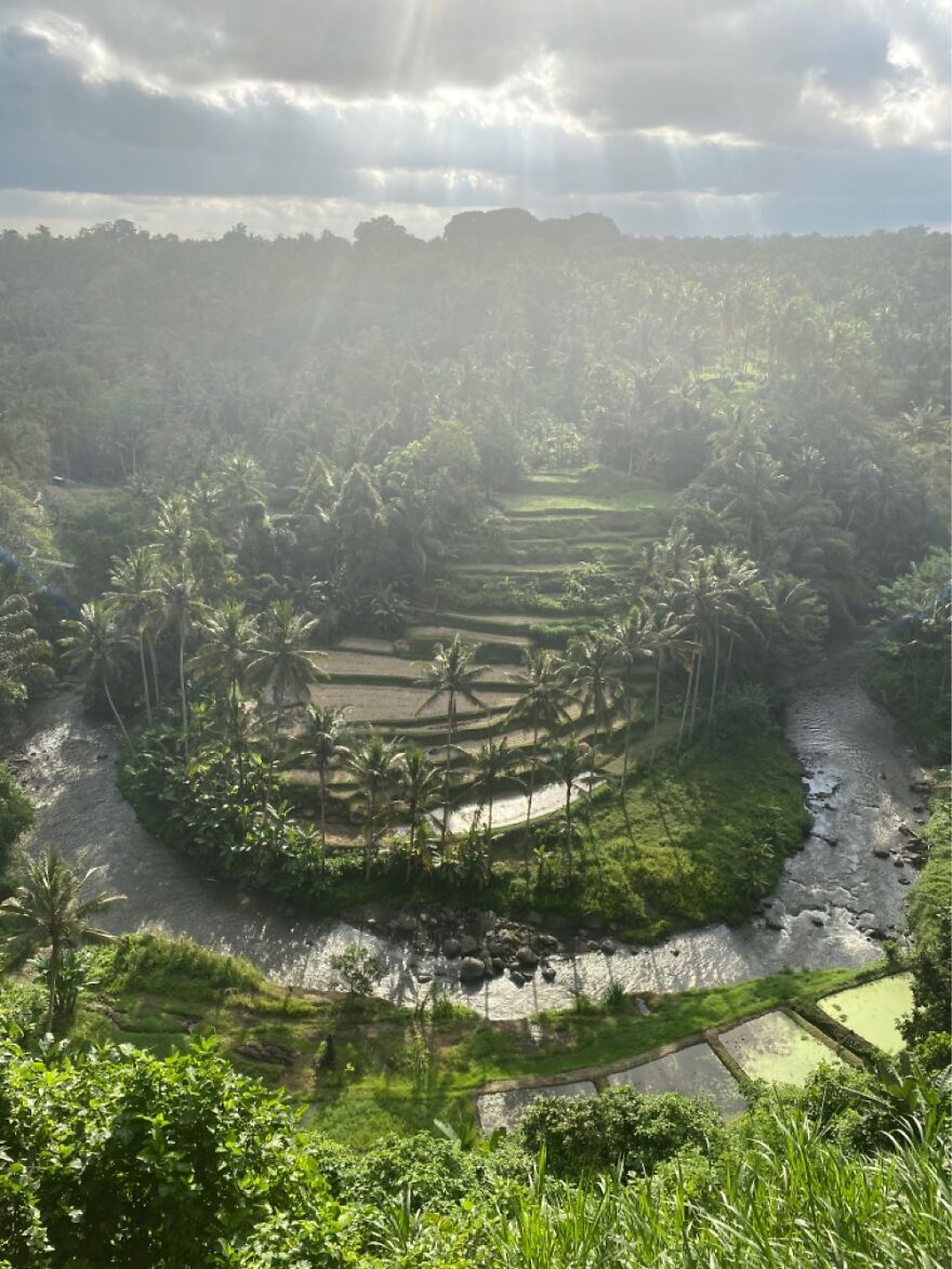 Sayan, Ubud - Bali. This Is Why I Moved From The City.