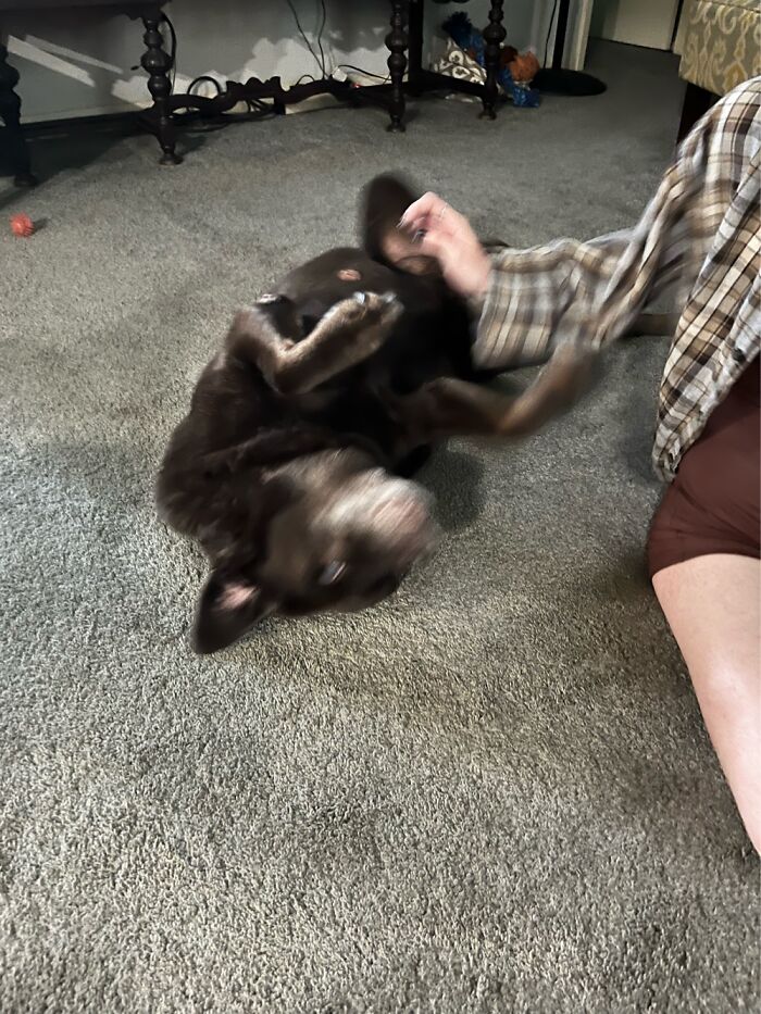 She’s A Real Wiggle Worm