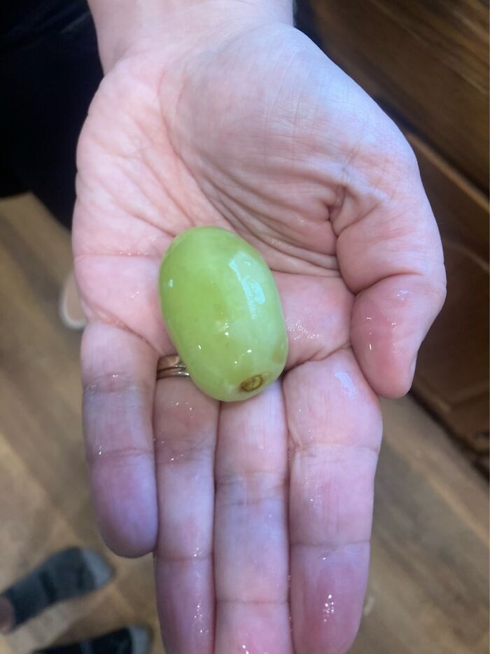 What Is The Weirdest Or Most Random Thing You’ve Ever Seen Or Heard