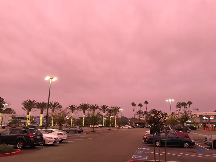 Pink Sky At Sunset