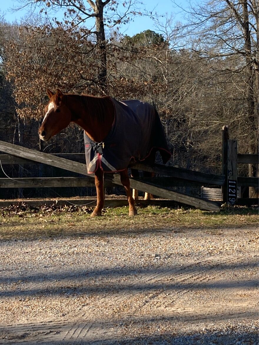 Born Free, Right Here.