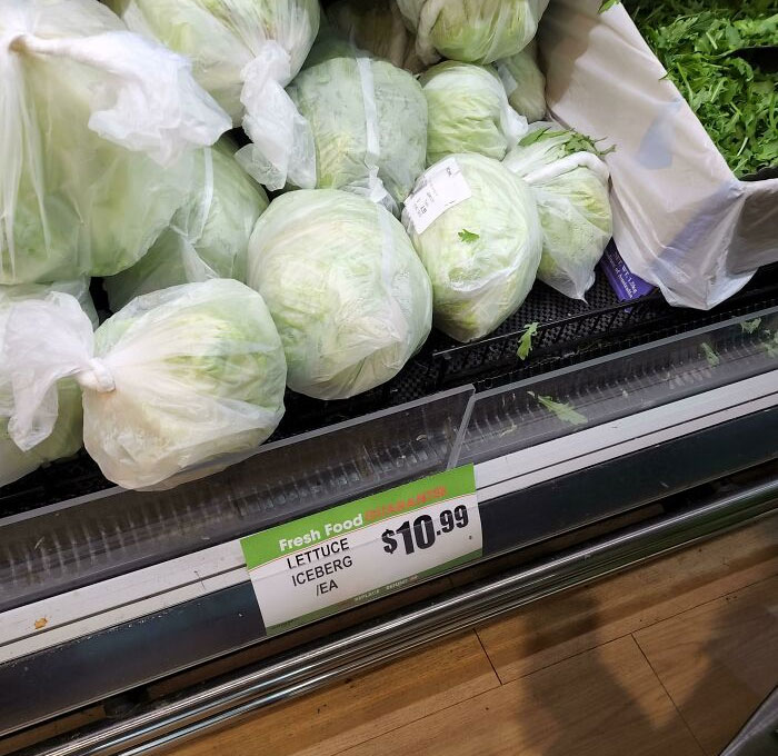 Iceberg Lettuce Insane Price