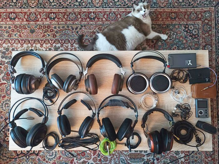 My Collection After A Decade. Can You Spot The Only Sennheiser Product I Own?