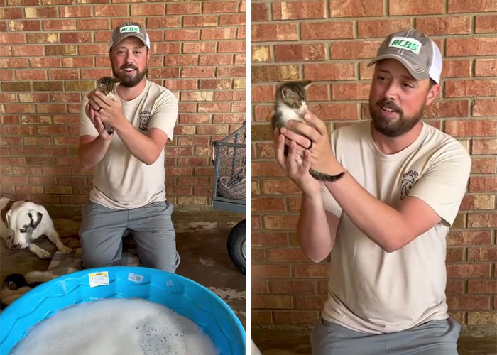 Man ‘Ambushed’ By Kittens As He Stops On The Side Of The Road To Rescue One Man ‘Ambushed’ By Kittens As He Stops On The Side Of The Road To Rescue One