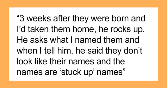 Guy Abandons His Pregnant Fiancée And Disappears, Throws A Tantrum When It Turns Out That She Named The Babies Herself