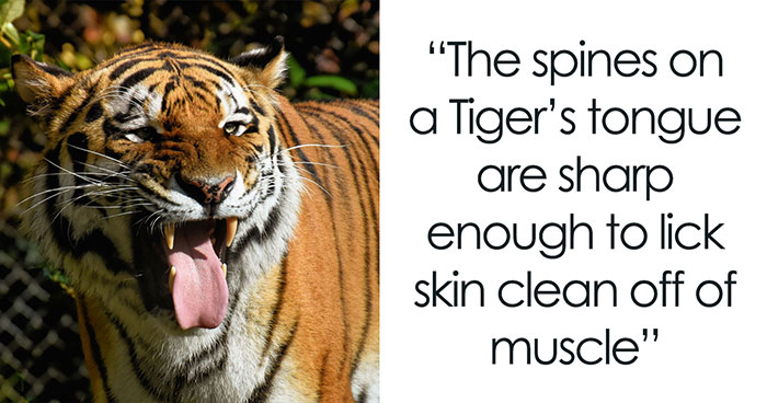 35 Interesting And Weird Animal Facts Not Too Many People Know
