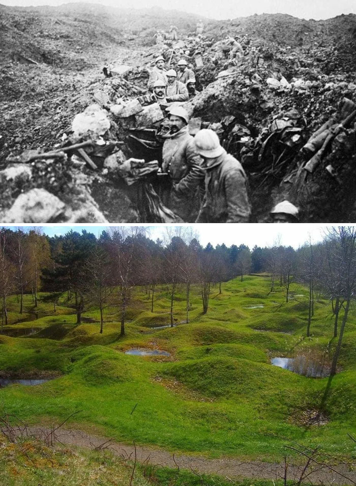 1916 vs. ahora - Campo de batalla de Verdún, Francia
