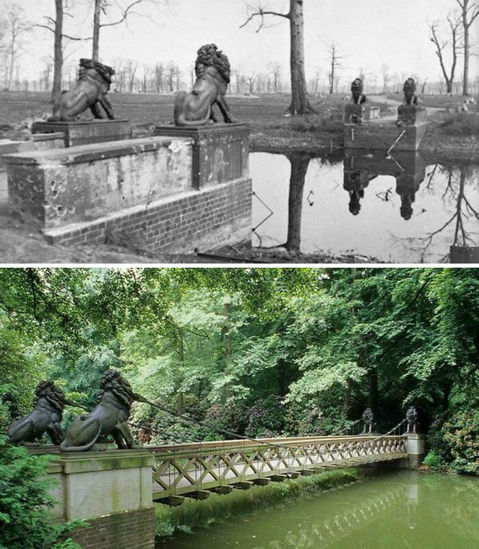 Tiergarten, Berlín (1945 y 2021)