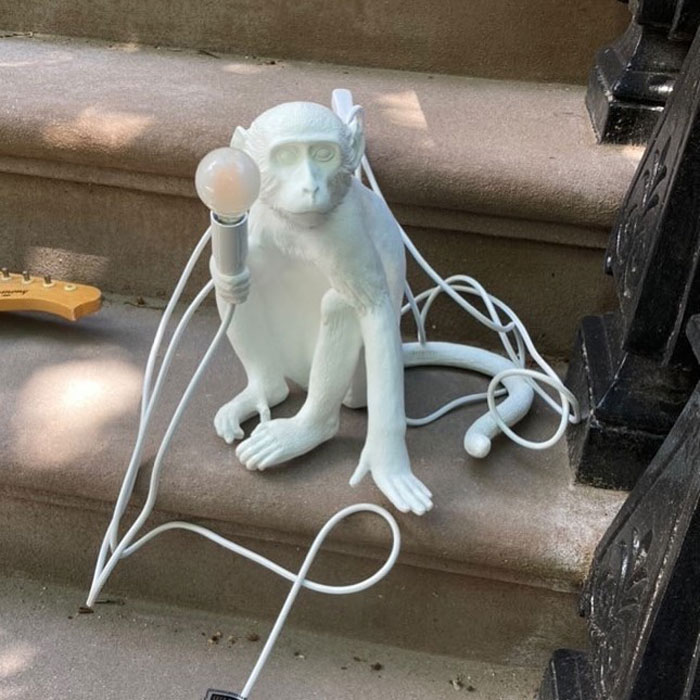 Just Your Regular Ol’ Monkey Lamp. On Sackett Street Between Clinton And Henry