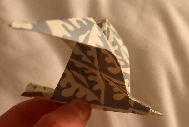 origamiseagull-62ab2621236df.jpg