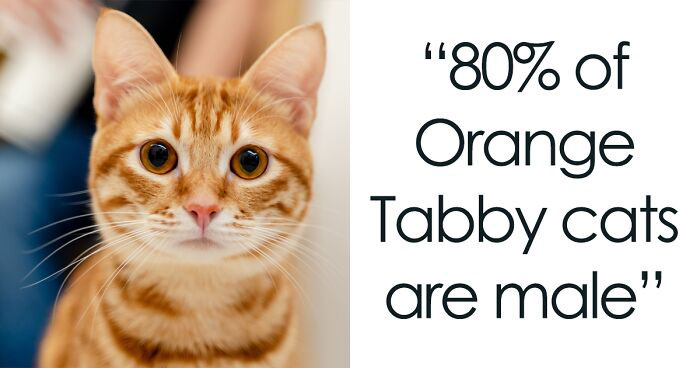 35 Weird, Fascinating, And Disturbing Statistics About Pretty Much Everything