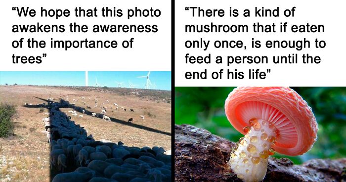 This Online Page Explores “The Darker Side Of Science”, And Here Are 70 Of Their Funniest Memes And Posts