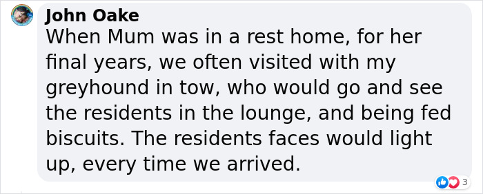 New Pilot Project Will See Rescued Greyhounds Visiting The Elderly In Aged Care Homes In Australia New Pilot Project Will See Rescued Greyhounds Visiting The Elderly In Aged Care Homes In Australia