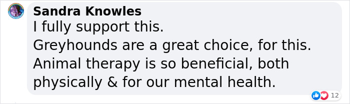 New Pilot Project Will See Rescued Greyhounds Visiting The Elderly In Aged Care Homes In Australia New Pilot Project Will See Rescued Greyhounds Visiting The Elderly In Aged Care Homes In Australia