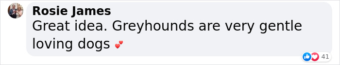 New Pilot Project Will See Rescued Greyhounds Visiting The Elderly In Aged Care Homes In Australia New Pilot Project Will See Rescued Greyhounds Visiting The Elderly In Aged Care Homes In Australia