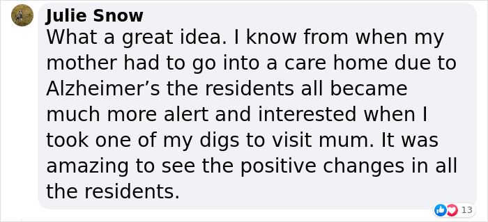 New Pilot Project Will See Rescued Greyhounds Visiting The Elderly In Aged Care Homes In Australia New Pilot Project Will See Rescued Greyhounds Visiting The Elderly In Aged Care Homes In Australia