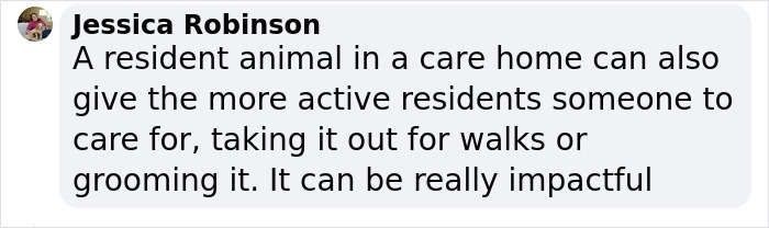 New Pilot Project Will See Rescued Greyhounds Visiting The Elderly In Aged Care Homes In Australia New Pilot Project Will See Rescued Greyhounds Visiting The Elderly In Aged Care Homes In Australia