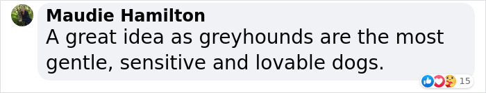 New Pilot Project Will See Rescued Greyhounds Visiting The Elderly In Aged Care Homes In Australia New Pilot Project Will See Rescued Greyhounds Visiting The Elderly In Aged Care Homes In Australia