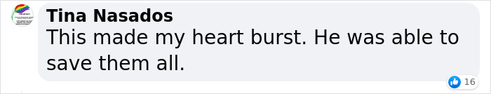 Man ‘Ambushed’ By Kittens As He Stops On The Side Of The Road To Rescue One Man ‘Ambushed’ By Kittens As He Stops On The Side Of The Road To Rescue One