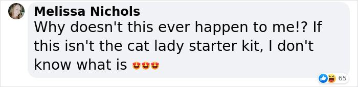 Man ‘Ambushed’ By Kittens As He Stops On The Side Of The Road To Rescue One Man ‘Ambushed’ By Kittens As He Stops On The Side Of The Road To Rescue One