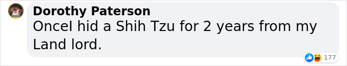 Every Private Tenant In UK To Get Legal Right To Keep A Pet In “Biggest Shake-Up Of The Private Rented Sector In 30 Years” Every Private Tenant In UK To Get Legal Right To Keep A Pet In “Biggest Shake-Up Of The Private Rented Sector In 30 Years”