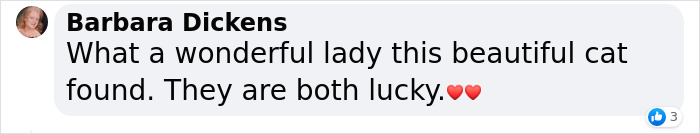 Stray Cat Begging For Food At A Store Melts This Woman's Heart, So She Adopts It And Shares Its Glow Up On Instagram Stray Cat Begging For Food At A Store Melts This Woman's Heart, So She Adopts It And Shares Its Glow Up On Instagram