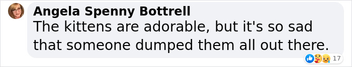 Man ‘Ambushed’ By Kittens As He Stops On The Side Of The Road To Rescue One Man ‘Ambushed’ By Kittens As He Stops On The Side Of The Road To Rescue One