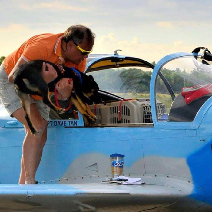 “I’d Rather Be Flying Dogs”: Retired Pilot Flies Rescue Animals To Their New Homes