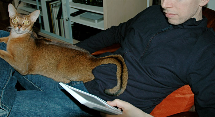 Writer Tweets About Owing Money To Amazon Because Readers Are Returning Their Finished eBooks, Sparks A Debate Among Online Users Writer Tweets About Owing Money To Amazon Because Readers Are Returning Their Finished eBooks, Sparks A Debate Among Online Users