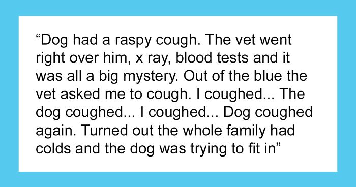 40 Pet Owners Share The Most Ridiculous Reason They Had To Bring Their Pet To The Vet