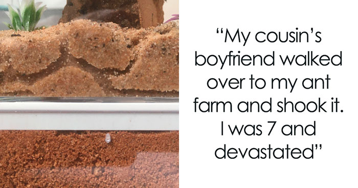 35 Stories Of The Worst Things Guests Have Done, As Told By Users Of This Online Community